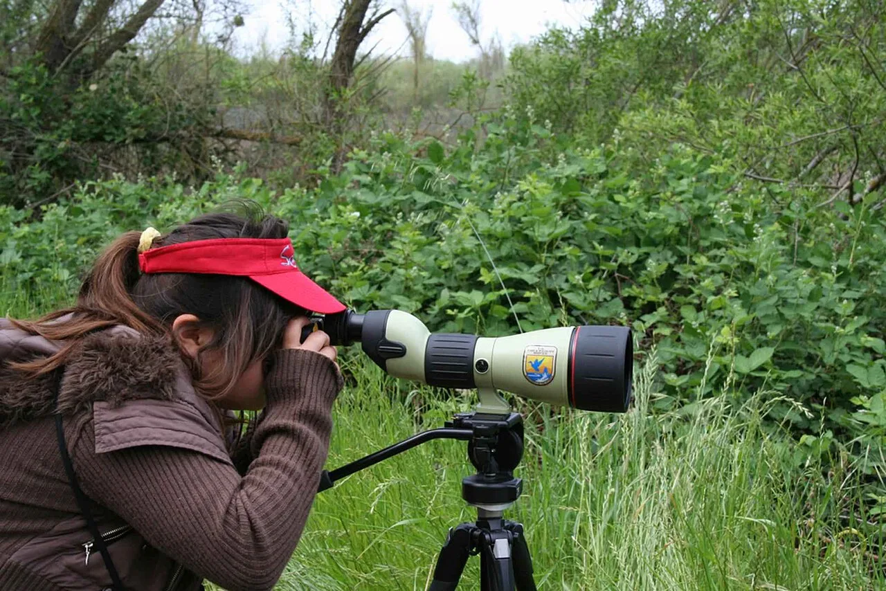 A woman operating a professional video camera