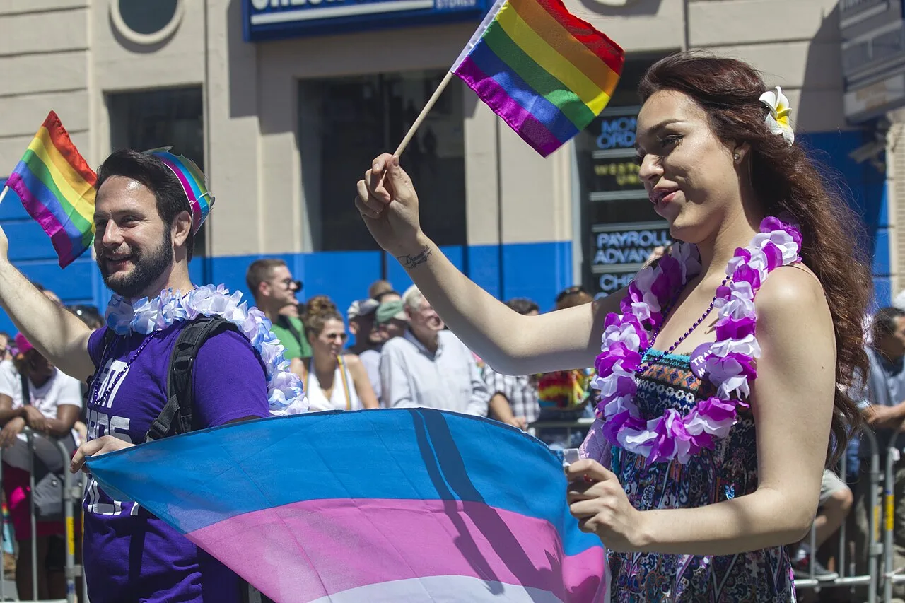 A transgender pride flag held at an outdoor gathering